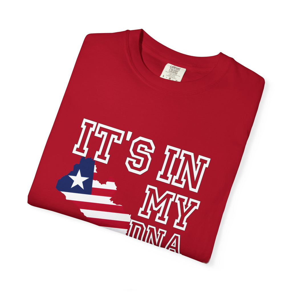 It's In My DNA T-Shirt — American Flag Heritage Tee