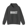 Modest Unisex Heavy Blend™ Hooded Sweatshirt, Cozy Casual Wear, Gifts for Him and Her, Everyday Comfort, Perfect for Fall